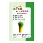 【蔬菜工坊】J04.小麥草種子(芽菜種子)