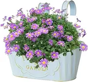 Balustrade Planter -Bridge Railing Plant | Fence Garden Patio Outdoor Embarrassing Metal Flower Furnace Planter Window Breeding Box Metal Handrail Planter Wardrobe Flower Bow