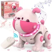Remote Control Robots DogToys Kids Robot Pet Puppy Dog RC Robot Toy with LED Gag