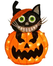 National Tree Company 23in Pre-Lit Pumpkin and Black Cat