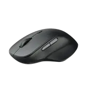 RAPOO M50PLUS 2.4Ghz Ergonomic 3200 DPI Wireless Optical Mouse Black