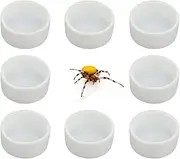 8 Pcs Spider Micro Ceramic Water Bowl Tarantula Mini Dish for Tarantula Spider Scorpion Cricket Snail Manti Millipede Tiny Bugs (White)