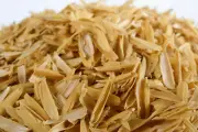 Rice Hulls Husks Organic Compost Mulch Growing Media Free Shipping 100g