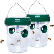 Solar-Powered Hanging Wasp Trap