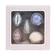 Jardinopia - Seashells Diffuser Topper (Set of 5), Resin, Home Decor