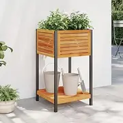 Raised Garden Bed, Elevated Planter Box Plant Container with Shelf 45x45x80 cm Solid Wood Acacia and Steel