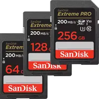 在飛比找蝦皮商城優惠-SanDisk 64G 128G 256G Extreme 