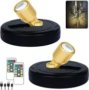 HAMVIDNE Wireless LED Spotlight, Rechargeable Battery Spot Lights with Remote, Uplighting Indoor, Stick Plant Spotlights for Wall Art Display Artwork Picture Painting-2Pack