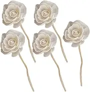 5Pcs Rattan Diffuser Replacement Sticks Decorative Aroma Diffusers for Home Office Spa Essential Oil Absorption Artistic Floral for Desks Shelves