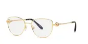 Chopard VCHG02S 0300 53 Eyeglasses AB