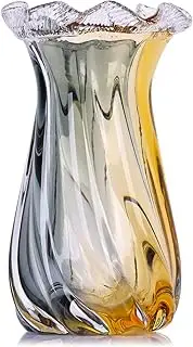 LINYTHER Amber Glass Vase Home Decor, Hand Blown Glass Vase Wide Mouth for Pampas Grass and Flower Decorative, Modern Minimalism Art Murano Clear Glass Vase, Coffee Table, Office Centerpiece