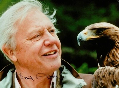 Sir David Attenborough Signed 8x6 Photo Blue Planet Wildlife Autograph + COA