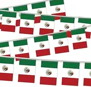 32FT Small Mexico Pennant Flag Bunting,30 PCS Mini String Banner Strip Mexicans National Decor Rectangle for Holiday Restaurant Home Party School