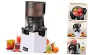 Cold Press Juicer Machines, 5.3'' Self Feeding Slow Masticating Light Purple