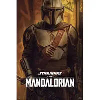 在飛比找蝦皮商城優惠-星際大戰 曼達洛人Star Wars:The Mandalo