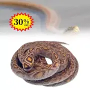1x Fake Large Rubber Snake Realistic Lifelike Scare Prank Gag Gift Joke Kid Toy