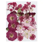 Dried Pressed Flowers Natural Leave Real Pressed Flowers Red Series