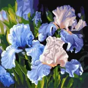 Ideyka Painting by Numbers kit Bright irises KHO3190