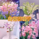 🌱鈴蘭花種子🌱 風鈴花結婚手捧花束 濃香花卉室內外觀賞花卉種子 四季開花 觀賞花卉種子 花卉種子 四季開花