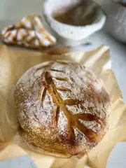 Sourdough Starter DEHYDRATED Organic San Francisco Active - 15 Gram Bag