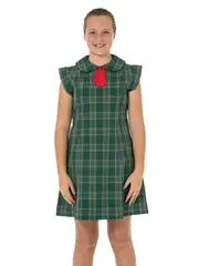 Green Check Dress