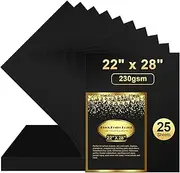 25 Pcs Black Poster Board 22" x 28" Paper Bulk, ROOKEA 250 GSM Vision Poster Boards for School Arts Craft Projects Presentations Drawing Scrapbooking Blank Graphic Display
