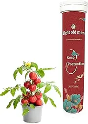 Indoor Plant Food Fertilizer - Slow Release Plant Food Outdoor | Soil Nutrient Fertilizer for Orchids in Pots, Home Outdoor Borato