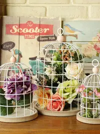 在飛比找松果購物優惠-歐式鐵藝鳥籠擺件 居家婚慶軟裝樣板房裝飾品 (5.5折)