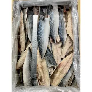 現貨🚚秒出🔜【10KG 挪威鯖魚片 約90片 100-120g/片】味峰/冷凍 ~一箱即免運~