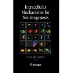 INTRACELLULAR MECHANISMS FOR NEURITOGENESIS