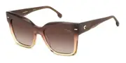 Carrera 3037/S 0MY/HA Women’s Sunglasses Brown Size 54