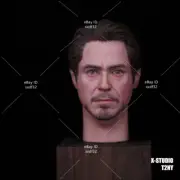 1/6 Head Sculpt Iron Man Tony Stark Model Fit 12'' Male Action Figure Body Toy