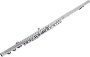 FL-100N Closed Hole C Flute 16 Keys Cupronickel Nickel-Plated Wind Instrument with Carry Case Cleaning Cloth Gloves Scre River Cleaning Rod Silver One Size