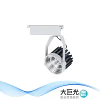 在飛比找momo購物網優惠-【大巨光】LED 20W 軌道燈_LED(LW-11-525