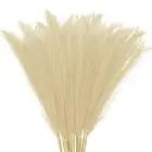 20-Pack Faux Pampas Grass 21.7 Inch for Home Decor/Wedding [Khaki]