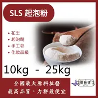 在飛比找蝦皮購物優惠-雅絲娜 #10 SLS 起泡粉 10kg 25kg 花王 起