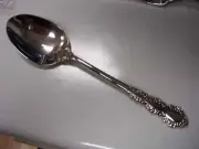 Shelley (Stainless) by ONEIDA SILVER - 2 Place Spoons