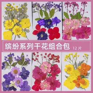 押花書簽滴膠干花手機殼壓花押花植物標本干花壓花材料包押花diy