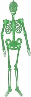 Flat Skeleton Door Hanger | Posable Skull Decoration | Lifelike Skull for Garden and Haunted House Decor | Great for Creating a Creepy Atmosphere in Graveyards and Halloween Events