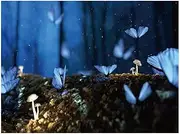 tieedhfu 1000 Piece Jigsaw Puzzle for Adults Artistic Aesthetics Holzpuzzle Erwachsene 1000 Teile Puzzle Erwachsene Anspruchsvoll, Blue, Dragonflies