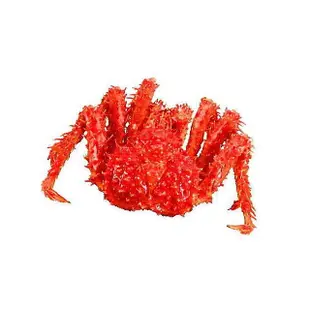 【萬象極品】帝王蟹約2.5kg以上/隻