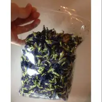 在飛比找蝦皮購物優惠-限定下標 蝶豆花