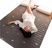 Thicken Tatami Floor Mattress, Moisture Proof Warm Foldable Tatami Mattress Topper Sleeping Bed Pad for Guests Dormitories Camping Sofas Loungers(F,150x200cm)