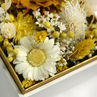 【專業農】Flower Plus永生乾燥花禮盒- 蜜橙黃 (白盒緞帶款)
