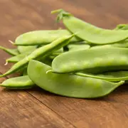 Pea (Snowpea) - Mammoth Melting seeds