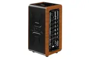 Aroma AG-60A 60W Rechargeable Acoustic Guitar Amplifier