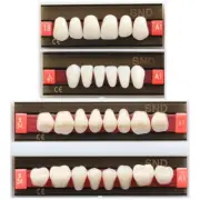 A1 Shade Dental Synthetic Acrylic Resin False Denture U/L Fake Teeth Whitening