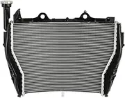 Engine Radiator Fit for BMW S1000RR 2009 2010 2011 2012 2013 2014 2015 2016 2017 2018 Motorcycle Aluminum Radiator Cooler Cooling Radiator Grille