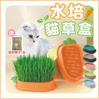 在飛比找蝦皮購物優惠-【送貓草種籽】貓草 小麥 貓草盆栽 6款顏色 貓草種子 小麥