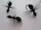 1 DZ D17-1 ANT'S (COLORS & SIZES AVAILABLE), DRY FLIES